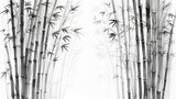 Monochromatic bamboo grove, ink painting style
