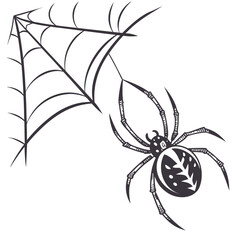 Spider with web isolated on white background, a creepy crawly illustration
