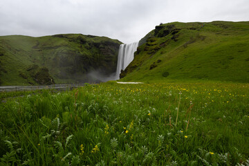 Canvas Print - skogafoss waterfall view with green field in summer time.