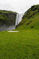 Canvas Print - skogafoss waterfall view with green field in summer time.