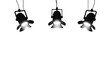© Muaz - Three spotlights shining isolated on transparent background