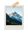 © shrinay - polaroid frame with tape  isolated PNG