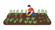 © King - Gardener tending vegetable garden planting fresh produce, a vibrant illustration of healthy living