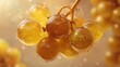 © somsak - Close up of juicy golden amber colored grapes covered in water droplets with soft bokeh background