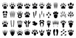 © VECTOR ZONE - Animal and Human Tracks in Black Silhouette on White Background for Wildlife and Educational Use