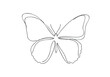 © Nazma - Elegant One Line Butterfly Drawing on White Background Minimalist Insect Art Nature Inspired Design for Creative Projects and Modern Decor Vector Illustration