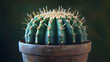 © Fizzah - cactus with thorns