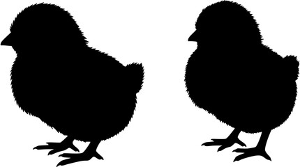 Chick Silhouette Vector Art silhouettes
