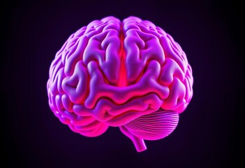 Wall Mural - Stylized human brain, vibrant purple-pink, central red focus,  abstract,   focus