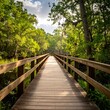 © Ayah - Wooden boardwalk through lush forest
