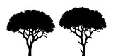 Black silhouette illustrations of acacia trees isolated on transparent background