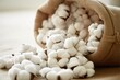 © Jason - Cotton boll spill from burlap sack. Natural textile production
