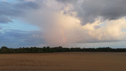 Wall Mural - Aerial Footage of a Grain Field in Latvia Under Dramatic Rain Clouds. A Rainbow Appears as a Storm Approaches, Creating a Powerful Contrast Between Natures Calm and Intensity.