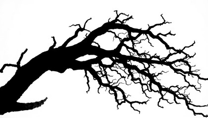 Dark, intricate silhouette of a gnarled tree branch against a stark white backdrop,  element,  curve