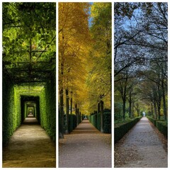  Three aligned images show the same alleypathway with different seasons or lighting