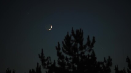 Wall Mural - crescent young moon with stars, planets and rural countryside tree silhouettes.