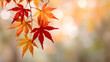 © Daniel - web banner design for autumn season and end year activity with red and yellow maple leaves with soft focus light and bokeh background