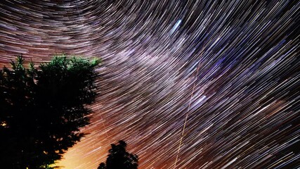 Wall Mural - milky way star-trails and rural countryside tree silhouettes. time-lapse video.