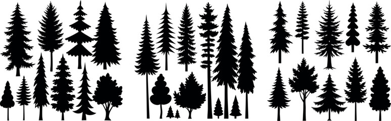 Forest tree silhouettes collection. Pine trees horizontal pattern panorama backgrounds. Vector illustration