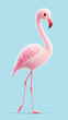 © Adamandgirls - Flamingo cartoon, A whimsical illustration of a pink flamingo against a blue background.