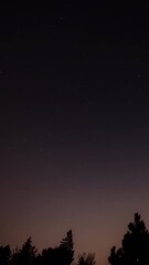 Wall Mural - milky way star-trails and rural countryside tree silhouettes. time-lapse video.