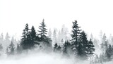 Misty forest silhouette