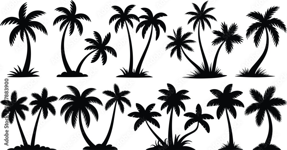 Silhouette palm tree vector set, tropical island elements, black ...