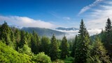 serene forest landscape featuring lush green coniferous trees in the foreground with misty mountains and soft blue sky in the background
