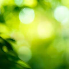 Wall Mural - bright and cheerful light green abstract background with bokeh effect and soft sunshine glow