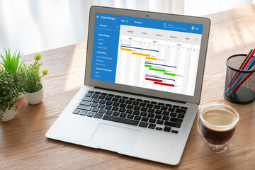 Wall Mural - project planning software for modish business project management on the computer screen showing time