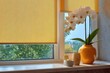 © VolumeThings - Yellow window roller shades