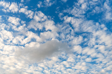 Wall Mural - Overcast scene. Cloudy sky view. Cloud drifting. Cloudy atmospheric backdrop. Morning sky with cloud. Sky and cloud formation. Weather cloudscape. Sky filled with cloud. Cloudy backdrop