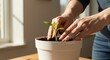 © Zhanna - Hands planting a small seedling in a white flower pot indoors