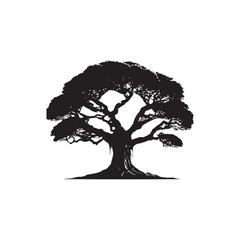 Banyan Tree Silhouette in Black on White Background.
