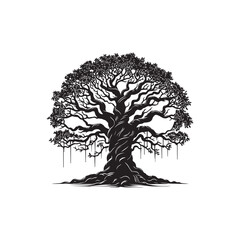 Banyan Tree Silhouette in Black on White Background.
