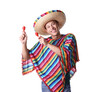 © New Africa - Smiling man in sombrero hat and colorful poncho playing maracas on white background