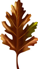 Wall Mural - Detailed Oak Leaf with Veins and Fall Color Transition, cut out transparent