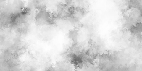 Wall Mural - abstract black and white paint watercolor, abstract powder splatted background, silhouettes of woods