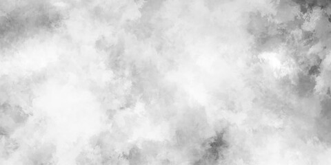 Wall Mural - abstract black and white paint watercolor, abstract powder splatted background, silhouettes of woods