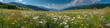 © KoShiiX - Breathtaking wildflower meadow in the mountains nature photography scenic landscape daytime panoramic view