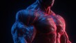 © Justlight - Medical visualization of a bodybuilder showing huge pectoral muscles, illuminated by blue and red neon lights, isolated on a black background