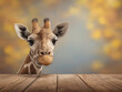 © alsu0112 - Giraffe with large expressive eyes peering over a wooden table, surrounded by a soft blurred background of warm autumn colors, showcasing the beauty of wildlife