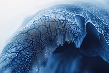 Wall Mural - A macro shot of a blue textured organic surface with intricate network patterns resembling veins and micro-bubbles, illuminated by soft light.