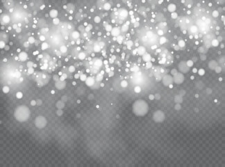 Wall Mural - Vector falling snow effect isolated on transparent background with blurred bokeh.