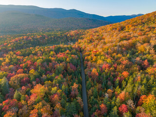 Wall Mural - landscape of autumn mountain forest and mountain range in mist