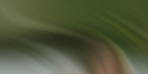 Canvas Print - A dark gradient texture with green and brown hues creates a grainy and visually appealing abstract background