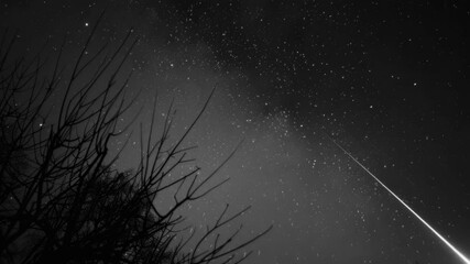 Wall Mural - A shooting star is seen in the night sky. The sky is dark and starry. The star is very bright and can be seen from a distance