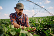 © Drazen - Farm worker inspecting leaves on crops in soybean field.