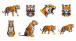 © Ayase - Collection of illustrations featuring various poses and expressions of a majestic tiger.