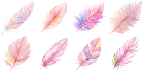 Wall Mural - beautiful, colorful feathers in shades of pink, perfect for design or artistic projects.